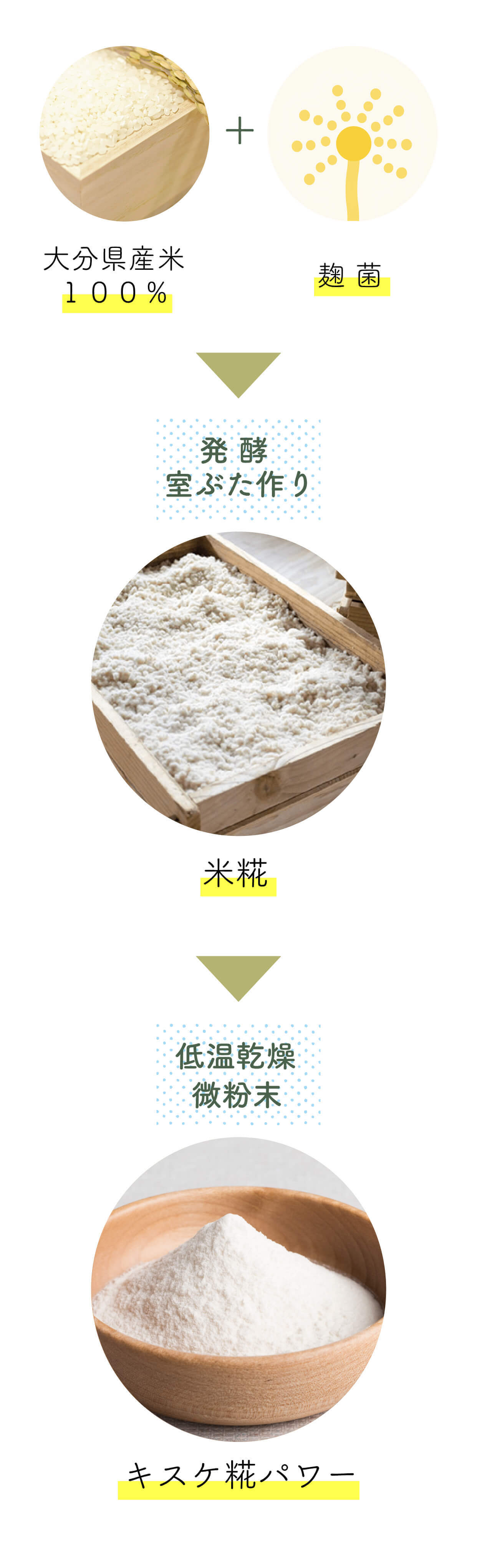 こだわりの室ぶた作り乾燥米糀 低温乾燥で米糀を粉末にしました 糀屋本店 乾燥米麹 (微粉末) キスケ糀パワー プレーン 30g