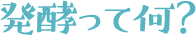 発酵って何？
